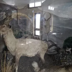 Chiltan National Park - Quetta