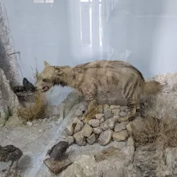 Chiltan National Park - Quetta