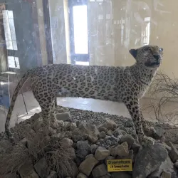 Chiltan National Park - Quetta