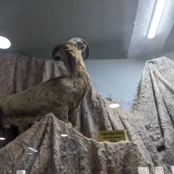 Chiltan National Park - Quetta