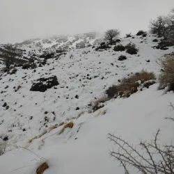 Chiltan National Park - Quetta