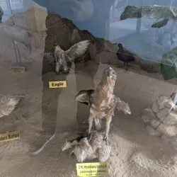 Chiltan National Park - Quetta