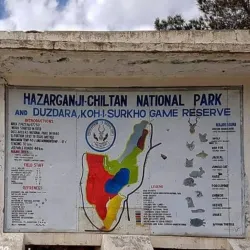Hazarganji-Chiltan National Park - Quetta