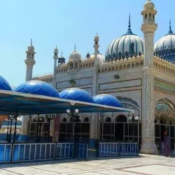 Cholistan Desert - Rahim Yar Khan