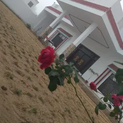 Cholistan Desert - Rahim Yar Khan