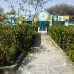 Cholistan Desert - Rahim Yar Khan