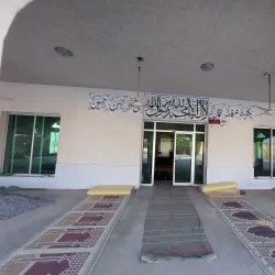 Cholistan Desert - Rahim Yar Khan