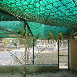 Fazilpur Wildlife Sanctuary - Rahim Yar Khan