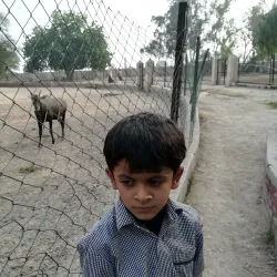 Fazilpur Wildlife Sanctuary - Rahim Yar Khan