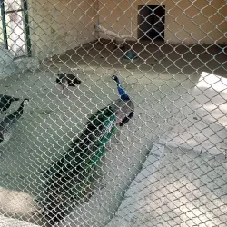 Fazilpur Wildlife Sanctuary - Rahim Yar Khan