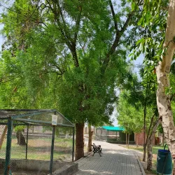 Fazilpur Wildlife Sanctuary - Rahim Yar Khan