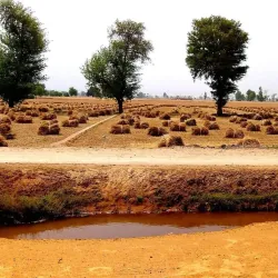 Rahim Yar Khan Museum - Rahim Yar Khan