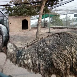 Ayub National Park - Rawalpindi