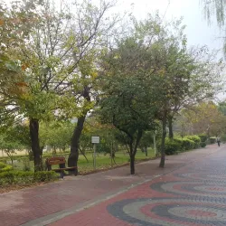 Ayub National Park - Rawalpindi