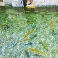 Gurdwara Panja Sahib - Rawalpindi