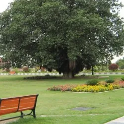 Jinnah Park - Rawalpindi