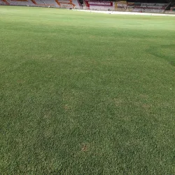 Rawalpindi Cricket Stadium - Rawalpindi