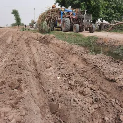 Agricultural Fields and Farms - Sadiqabad