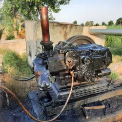 Agricultural Fields and Farms - Sadiqabad