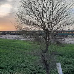 Cholistan Desert - Sadiqabad