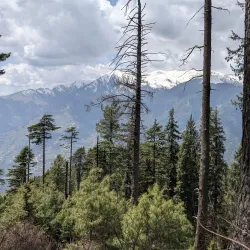 Bahrain Valley - Saidu Sharif