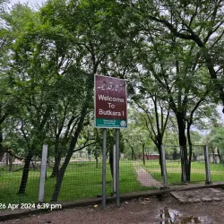 Butkara Stupa - Saidu Sharif
