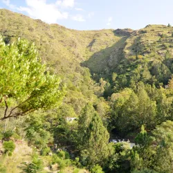 Mahmud Ghaznavi Mosque - Saidu Sharif