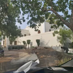 Miani Forest - Sanghar District