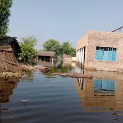Sanghar Agricultural Fields - Sanghar District