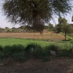 Sanghar Fort - Sanghar District