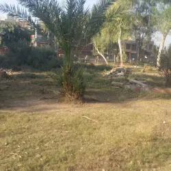 Iqbal Park - Sargodha