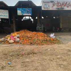 Sargodha Fruit Market - Sargodha