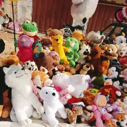 Shikarpur Fort - Shikarpur