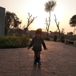 Local Parks and Green Spaces - Shujaabad