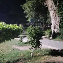 Local Parks and Green Spaces - Shujaabad