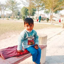 Local Parks and Green Spaces - Shujaabad