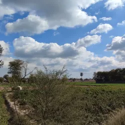 Local Parks and Green Spaces - Shujaabad