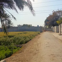 Shujaabad Fort - Shujaabad