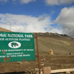 Deosai National Park - Skardu