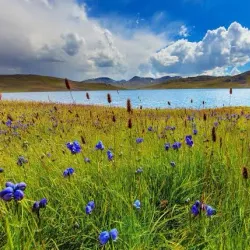 Deosai National Park - Skardu