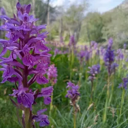 Sadpara Village - Skardu
