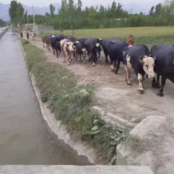 Bakhshali Ruins - Swabi