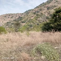 Karamar Hills - Swabi