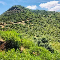 Karamar Hills - Swabi