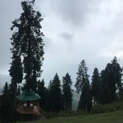 Malam Jabba Ski Resort - Swat
