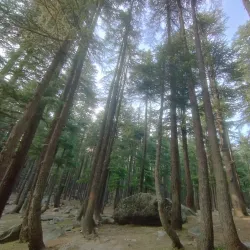 Ushu Forest - Swat