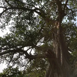 Chountra Hills - Talagang