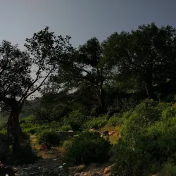 Chountra Hills - Talagang