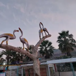 Kalar Kahar Lake - Talagang