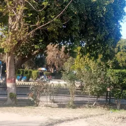 Local Cultural Festivals - Talagang